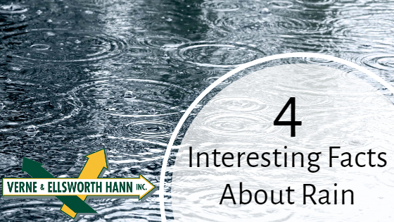 Rain&apos;s Impact on Air Quality & Humidity