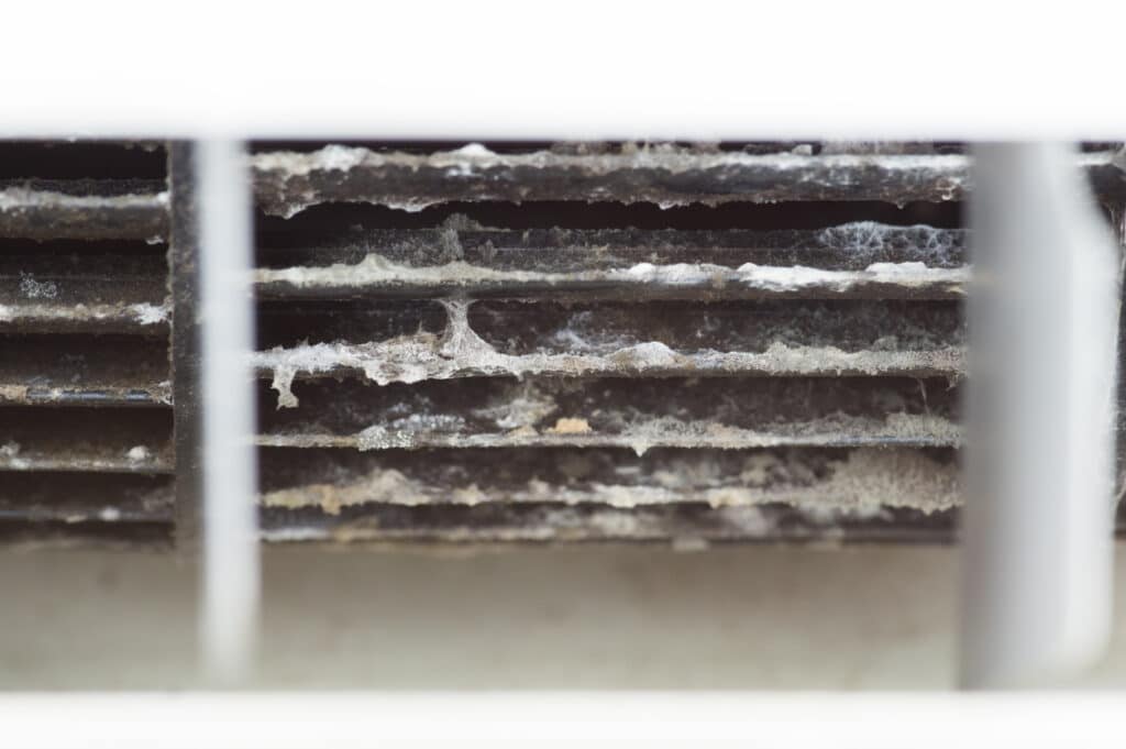 Mold on an AC vent