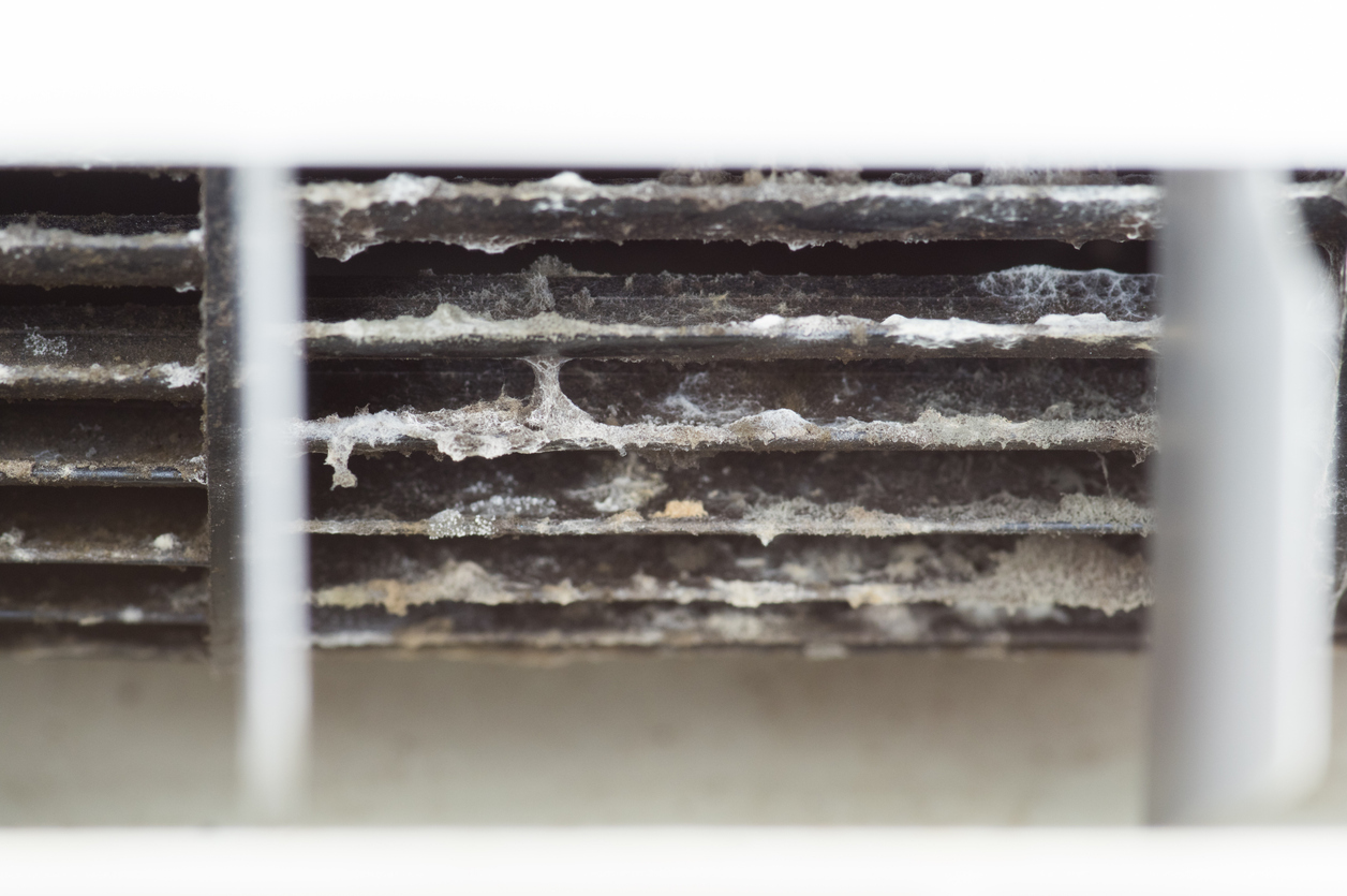 What To Do About Mold in Your Vents?